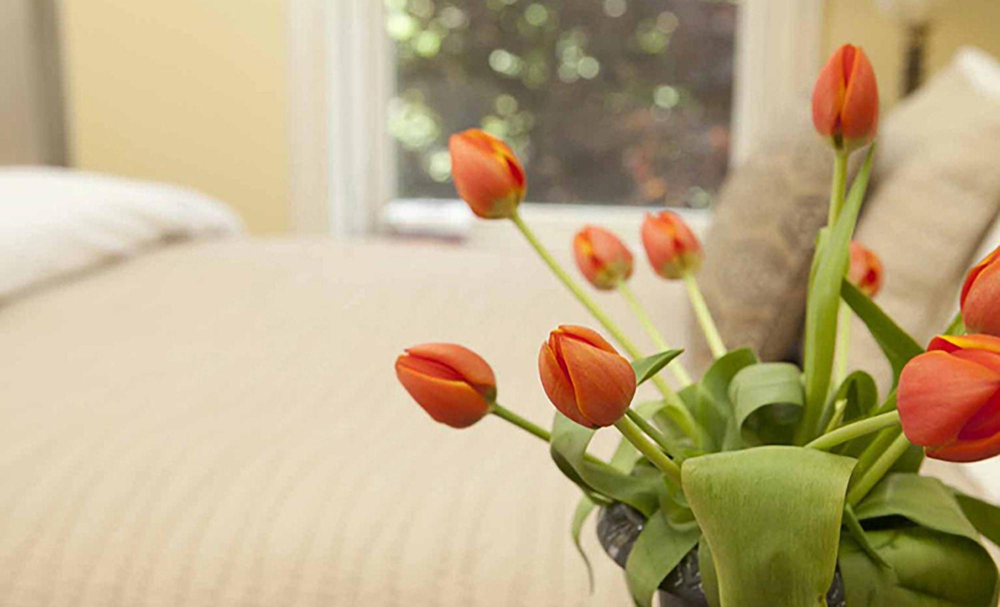 Morgan State House Inn Albany Phòng bức ảnh